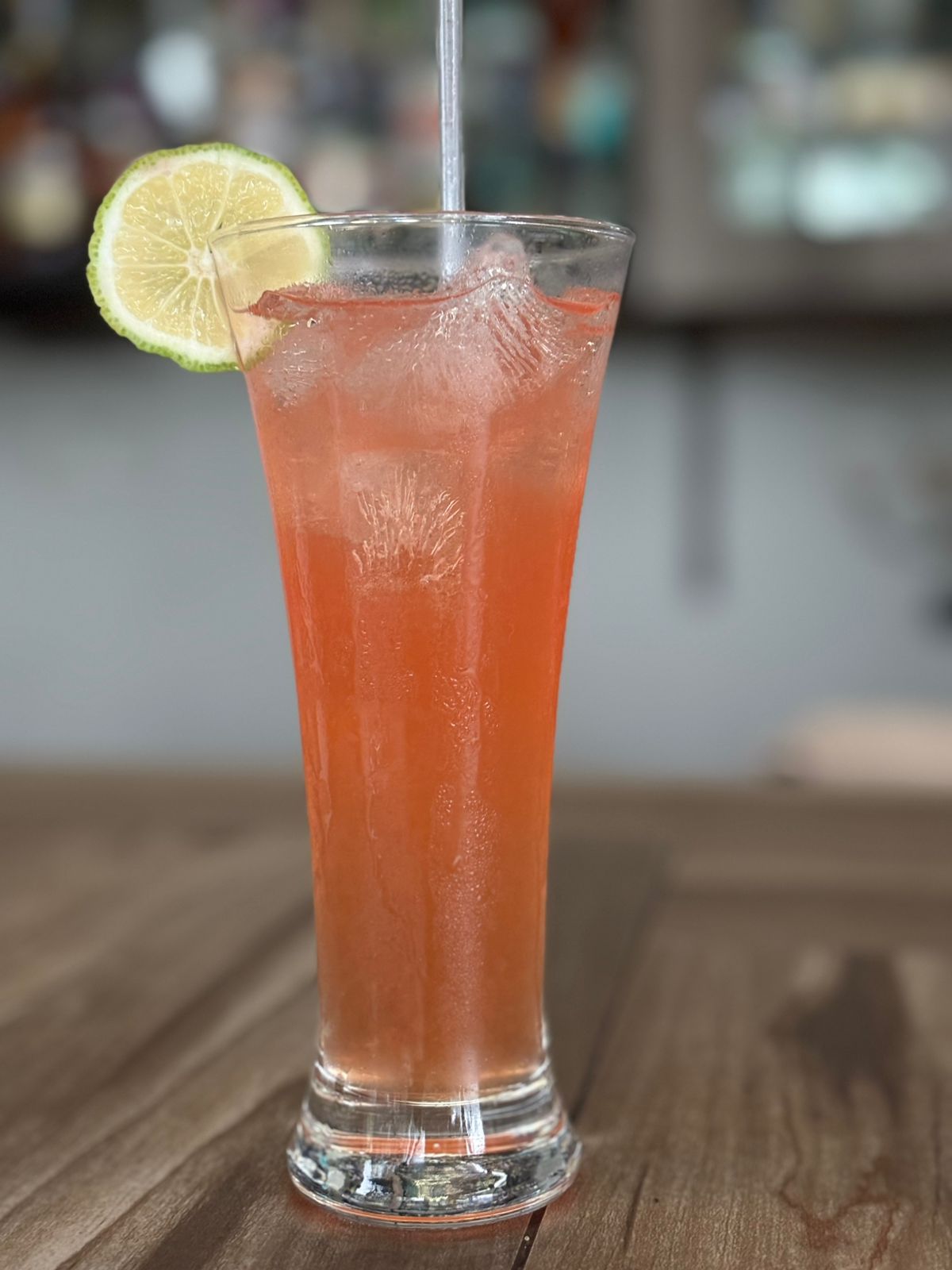 WhatsApp Image 2026-02-05 at 11.42.49 (1)